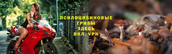 МДМА Бородино