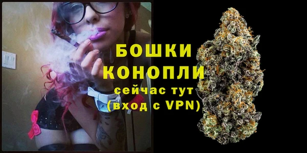 МДМА Бородино