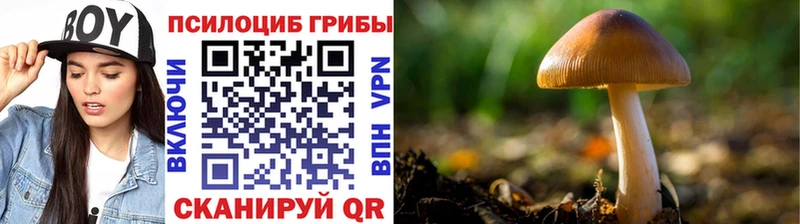 Галлюциногенные грибы ЛСД  Наро-Фоминск 